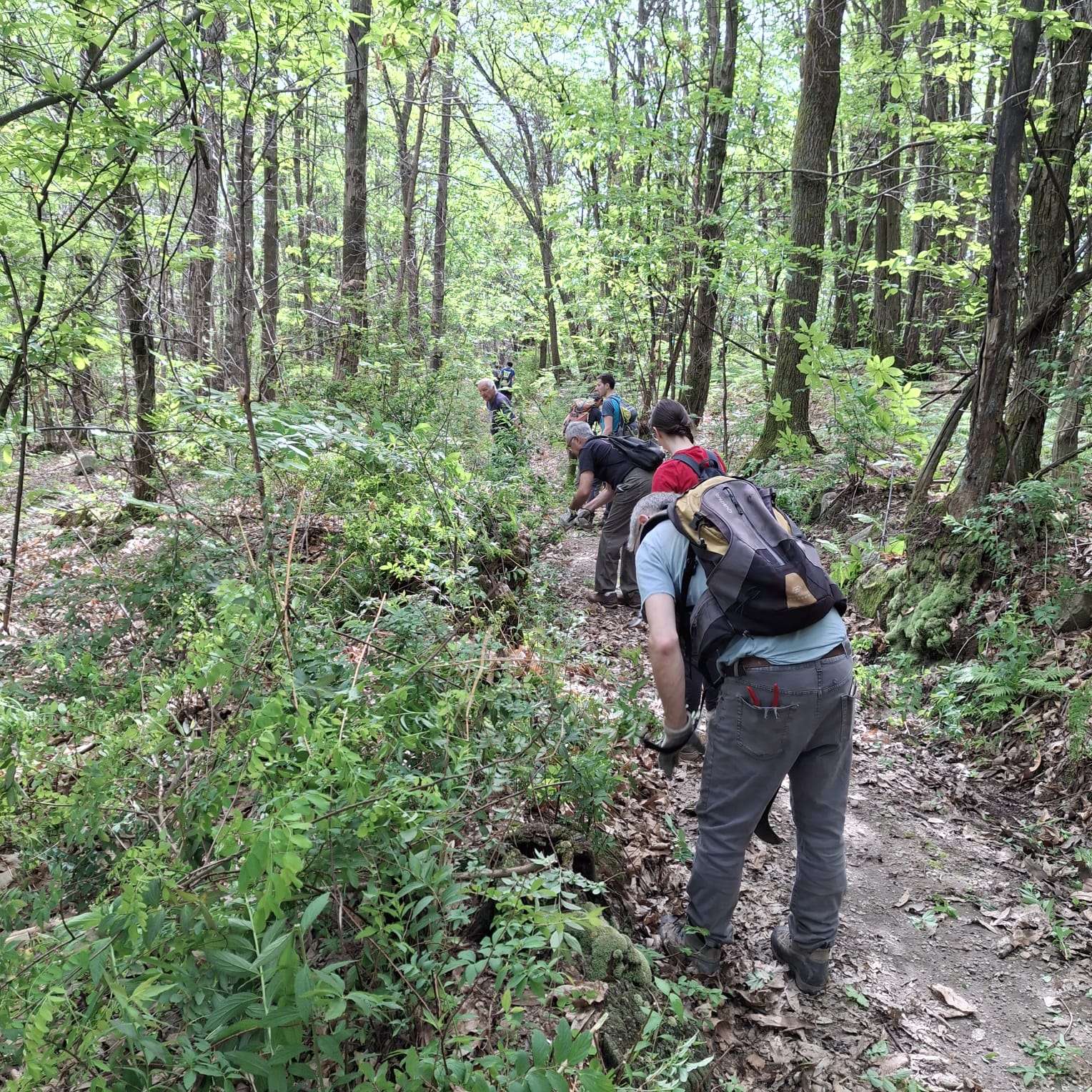Serata apericena con la Commissione Sentieri