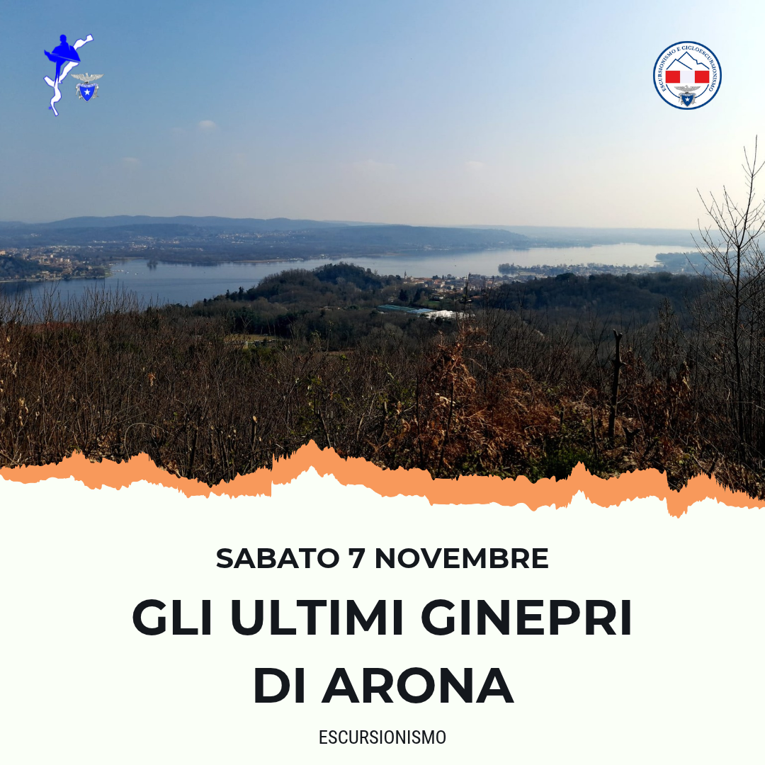 Gli ultimi ginepri di Arona
